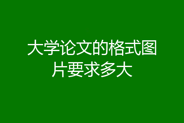 大学论文的格式图片要求多大