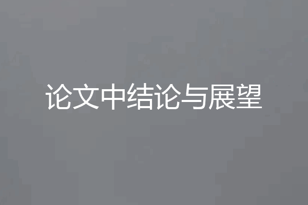 论文中结论与展望