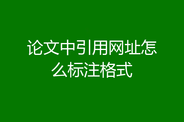 论文中引用网址怎么标注格式