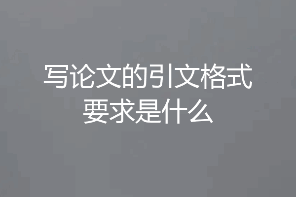 写论文的引文格式要求是什么