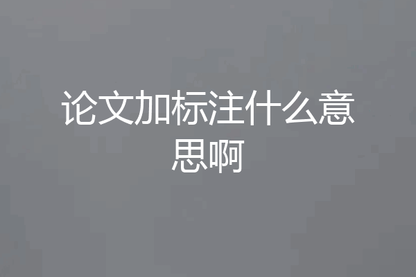 论文加标注什么意思啊