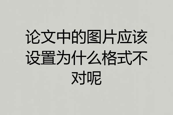 论文中的图片应该设置为什么格式不对呢