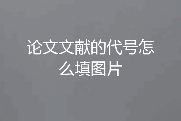 论文文献的代号怎么填图片