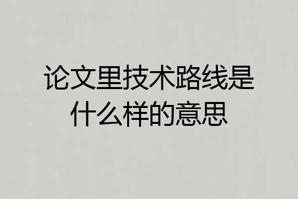 论文里技术路线是什么样的意思