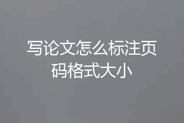 写论文怎么标注页码格式大小