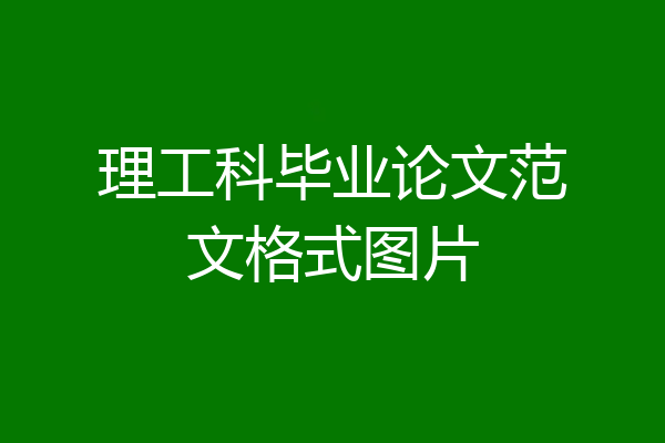 理工科毕业论文范文格式图片