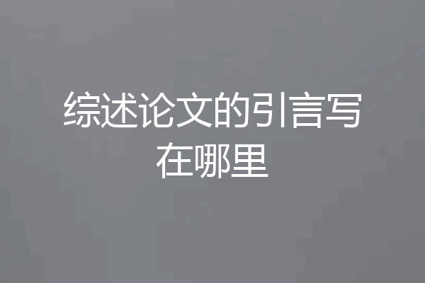 综述论文的引言写在哪里