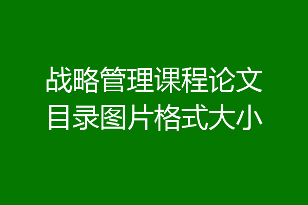 战略管理课程论文目录图片格式大小