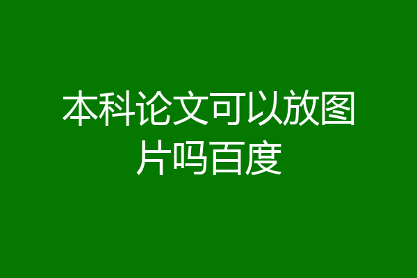 本科论文可以放图片吗百度