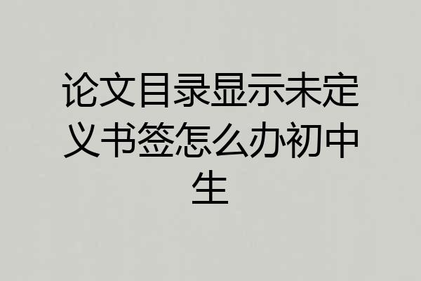 论文目录显示未定义书签怎么办初中生