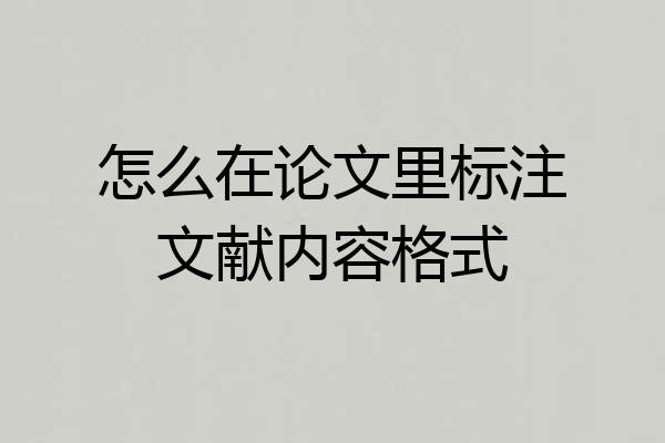 怎么在论文里标注文献内容格式
