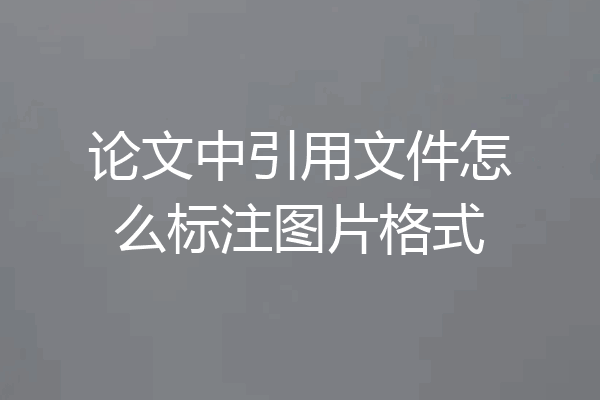 论文中引用文件怎么标注图片格式