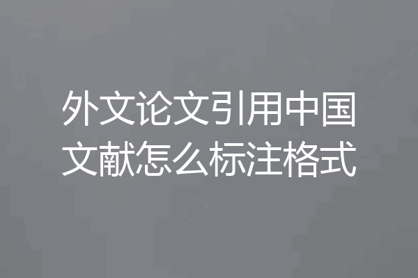 外文论文引用中国文献怎么标注格式