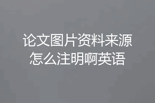 论文图片资料来源怎么注明啊英语