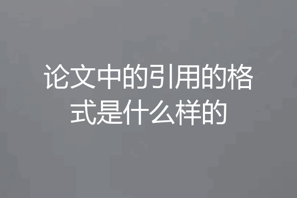 论文中的引用的格式是什么样的
