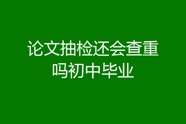 论文抽检还会查重吗初中毕业