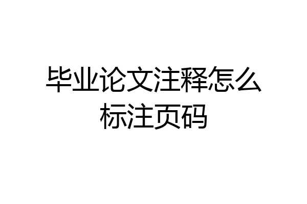毕业论文注释怎么标注页码