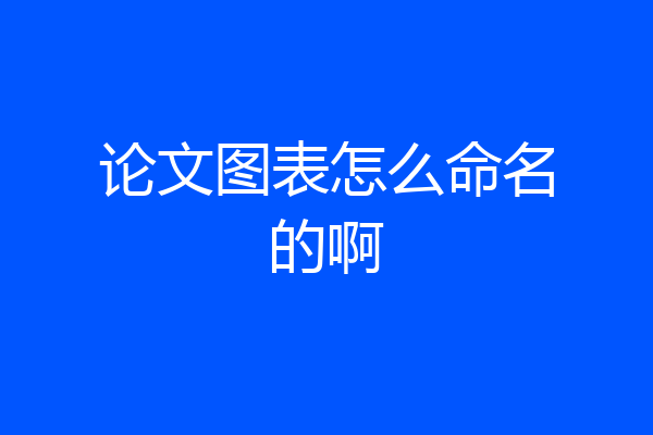 论文图表怎么命名的啊