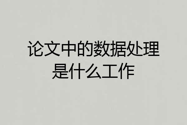 论文中的数据处理是什么工作