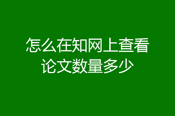 怎么在知网上查看论文数量多少