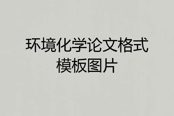环境化学论文格式模板图片