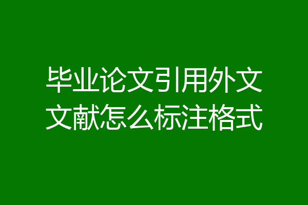 毕业论文引用外文文献怎么标注格式