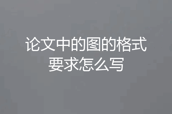 论文中的图的格式要求怎么写