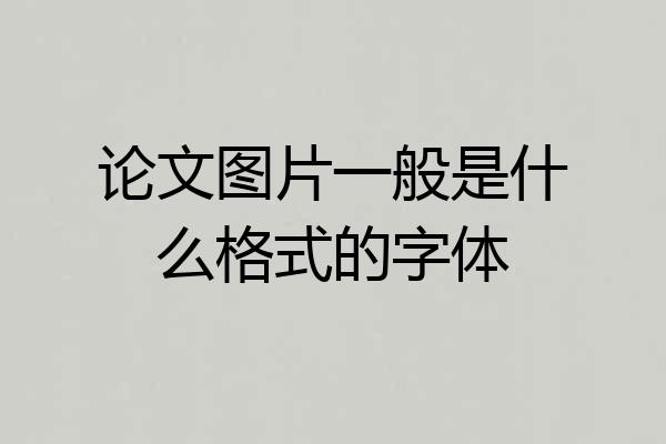 论文图片一般是什么格式的字体