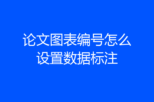 论文图表编号怎么设置数据标注