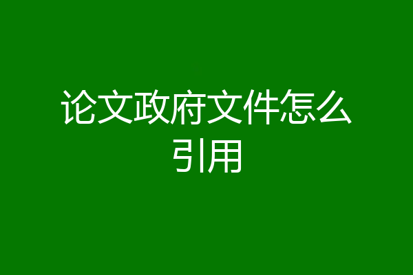 论文政府文件怎么引用