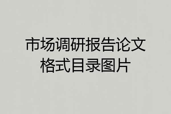 市场调研报告论文格式目录图片