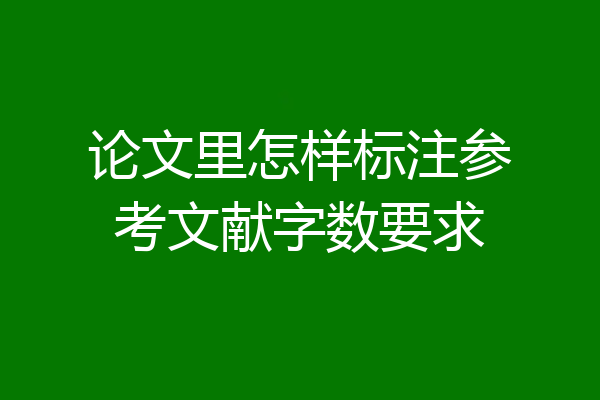 论文里怎样标注参考文献字数要求