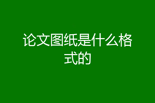 论文图纸是什么格式的