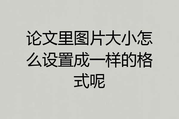 论文里图片大小怎么设置成一样的格式呢