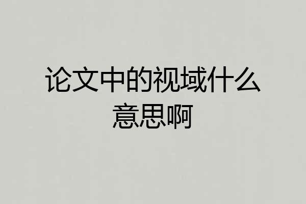论文中的视域什么意思啊