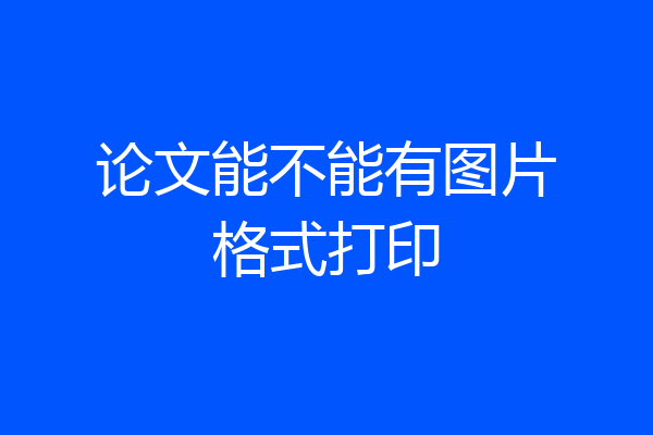 论文能不能有图片格式打印