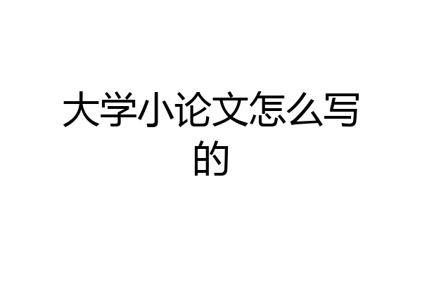 大学小论文怎么写的