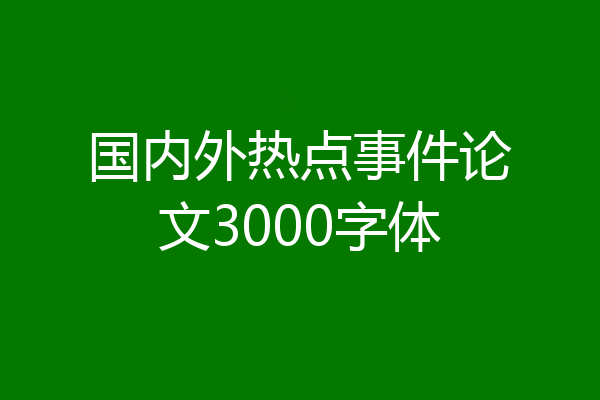 国内外热点事件论文3000字体