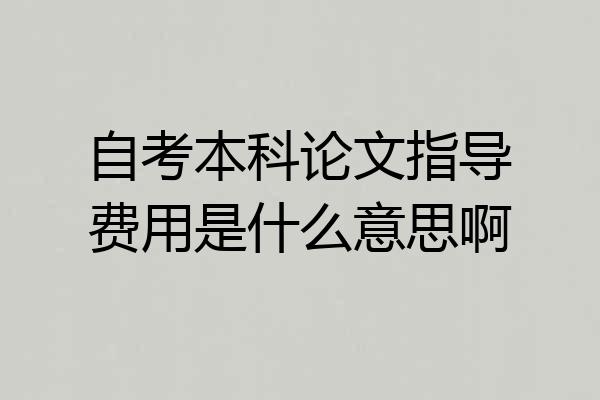 自考本科论文指导费用是什么意思啊