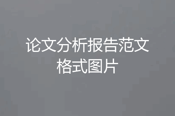 论文分析报告范文格式图片