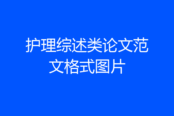 护理综述类论文范文格式图片