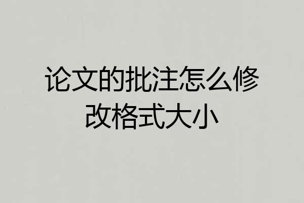 论文的批注怎么修改格式大小