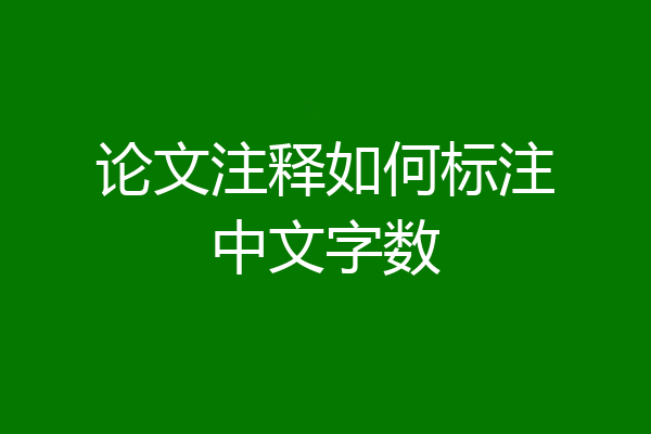 论文注释如何标注中文字数
