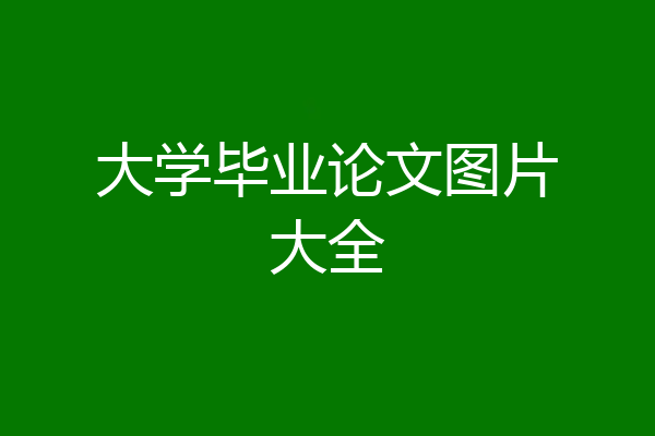 大学毕业论文图片大全