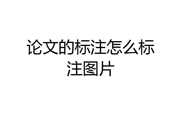 论文的标注怎么标注图片