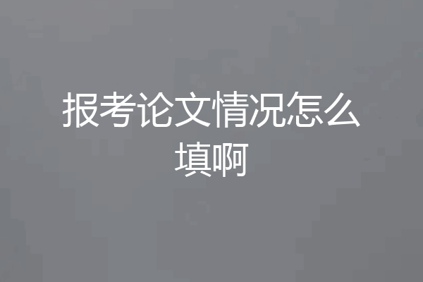报考论文情况怎么填啊