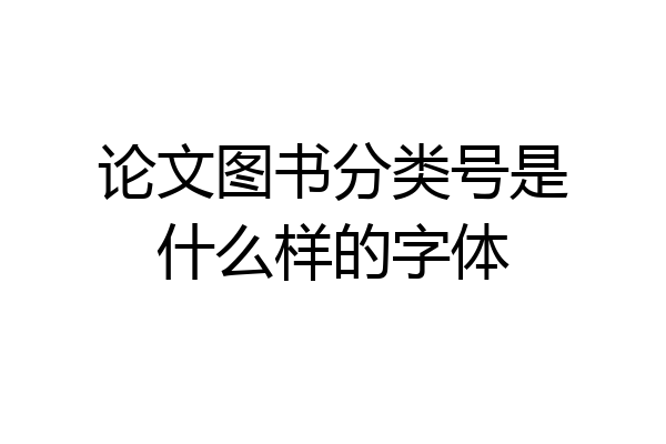 论文图书分类号是什么样的字体