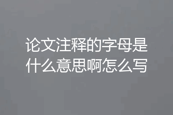 论文注释的字母是什么意思啊怎么写