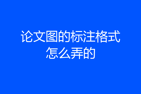 论文图的标注格式怎么弄的