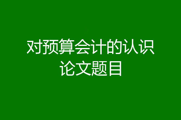 对预算会计的认识论文题目